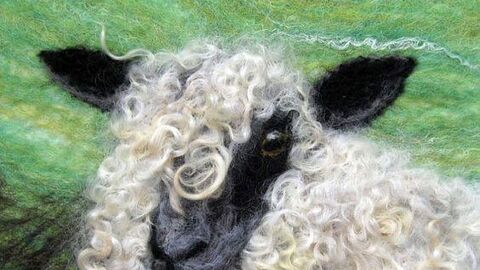 Felted sheep
