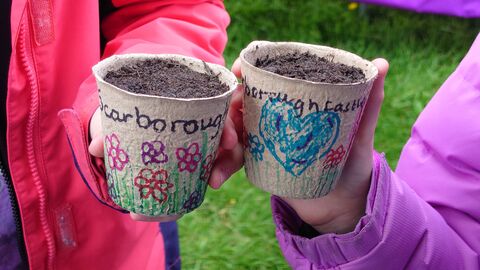 Flower Pots