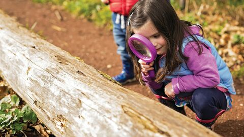 Child with magnifying glass looking at a log