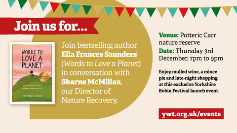 Yorkshire Robin Festival launch event featuring a talk by author Ella Frances Saunders with Sharne McMillan, Director of Nature Recovery, at Potteric Carr nature reserve on Thursday 3rd December, 7pm to 9pm.