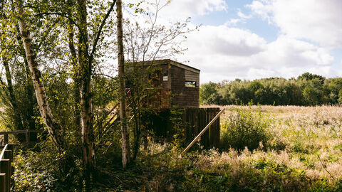 Beeston Hide Potteric Carr looking over a field