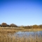 View over Potteric Carr Credit Tom Marshall