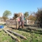 Liberty during a sunny fencing day at Low Car Farm