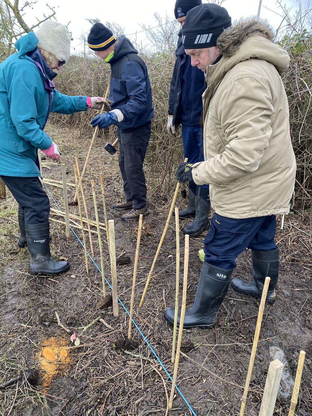 Hedgerow habitat creation at Spurn | Yorkshire Wildlife Trust