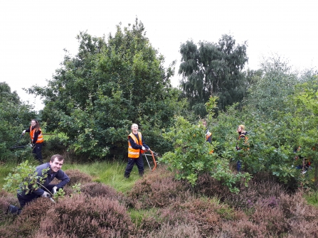 South TNLS working at Doncaster Common