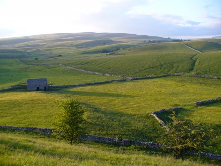 Ashes Pasture Credit Charlotte Bickler