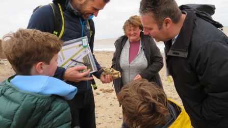 Eggcase Hunt Spurn - Georgia Umney.