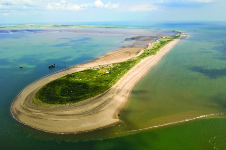 Spurn