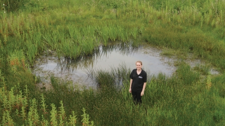 Restored Dew Pond