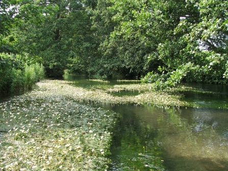 River Hull chalk stream