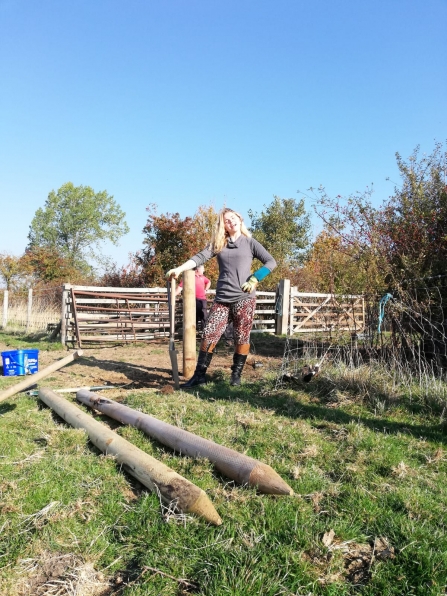 Liberty during a sunny fencing day at Low Car Farm