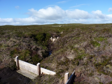 Wooden dams peatland