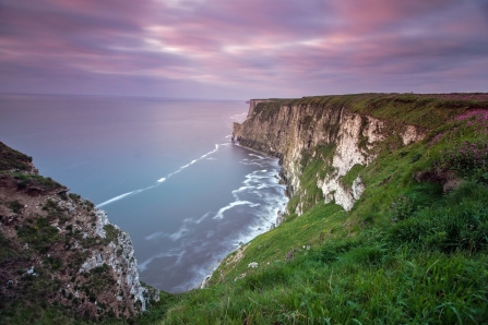 Bempton Cliffs 