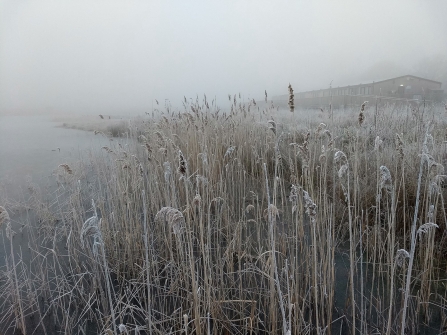 Frost and fog © Richard Sykes 2019