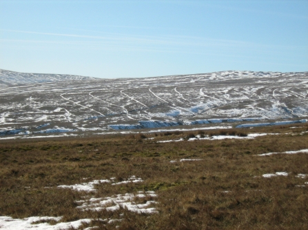 Grips at High West site