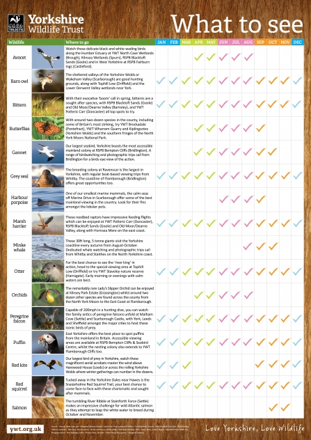 Wildlife Watching calendar