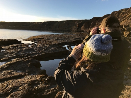 Wildlife watching at Filey