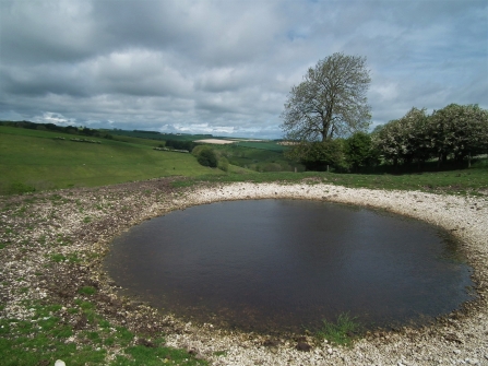 Yorkshire Wolds dew pond