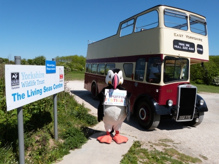 Schools Puffin Festival bus