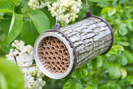 Bee hotel