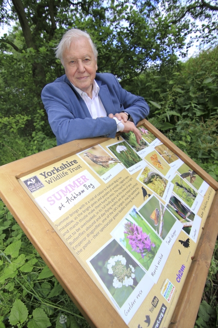 David Attenborough at Askham Bog