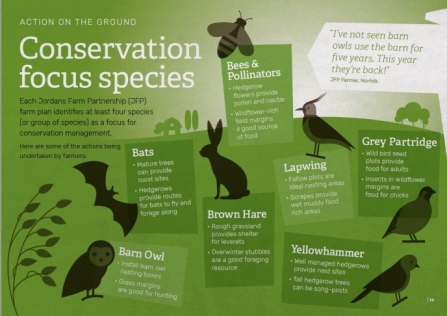 Jordans conservation focus species