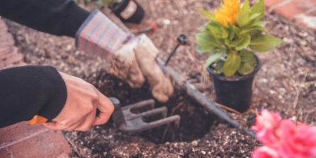 Gardening