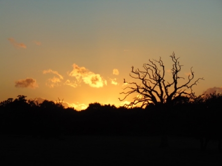 Sunset over Carr Lodge © Lynda Christou 2020