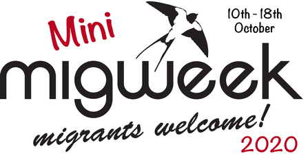 Mini Migweek logo