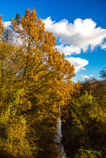 Autumn Light © Derek Parker 2020