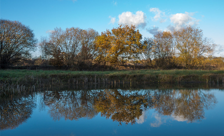 Square Pond in Loversall Field © Derek Parker 2020