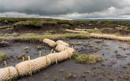 Image of restoration works on Fleet Moss © Lizzie Shepherd