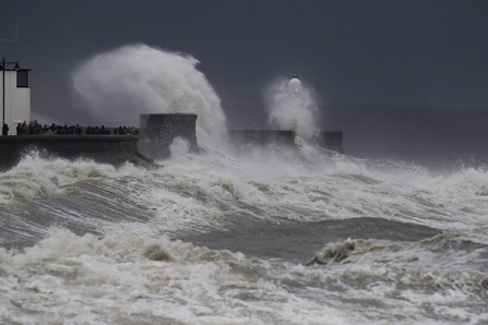 Storm hitting sea wall (c) Chris Lawrence