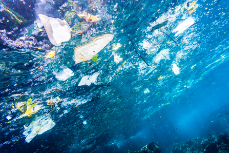 Underwater image of Plastic Pollution in the Ocean