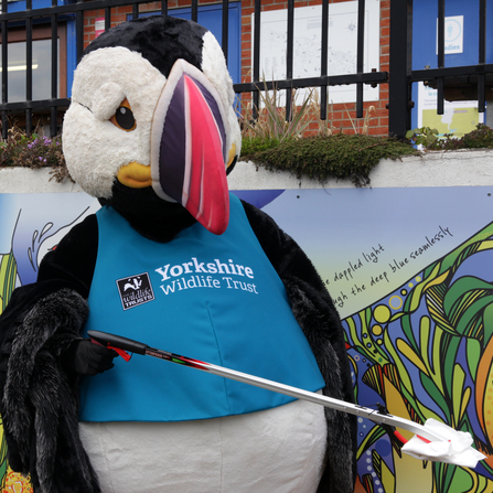 Our puffin mascot, Cliff picking up litter