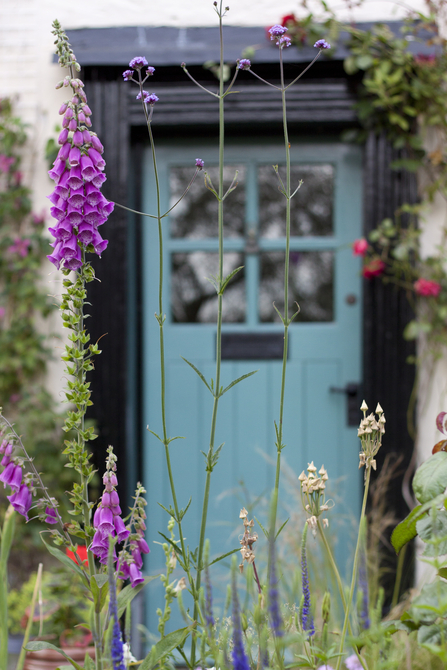 Door surrounded by flowers (c) Tom Marshall