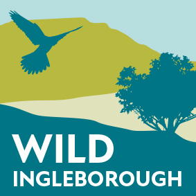 Wild Ingleborough logo