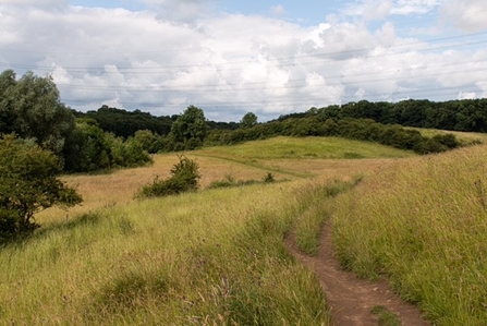 A landscape shot of Brockadale nature reserve