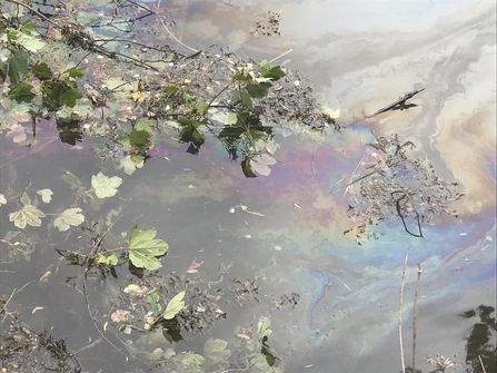 Oil pollution