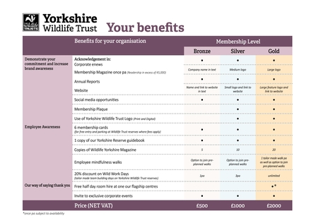 Table of benefits for business membership (accessible link below)