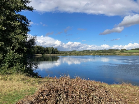 Looking across a lake at North Cave Wetlands in blue skies, with trees to the left of the image