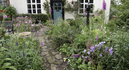 wildlife friendly gardening