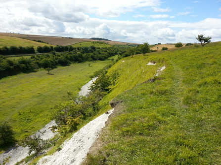 View of Kiplingcotes Chalk Pit nature reserve