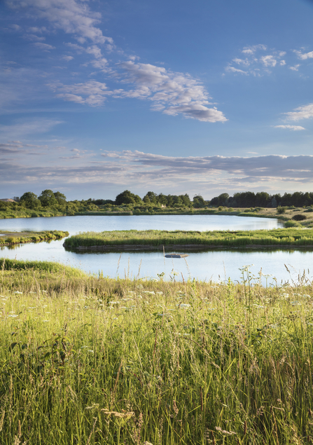 Grasses and reeds in foreground with lakes in background and blue skies