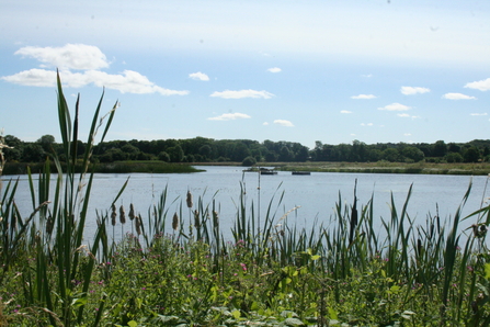 A view of Staveley nature reserve by Jono Leadley