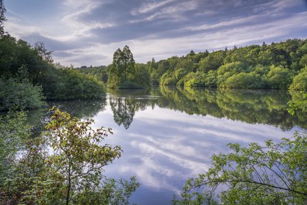 A view of Adel Dam Nature Reserve mainly the body of water surrounded by trees