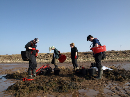 Four people stand on the beach at spurn with buckets.