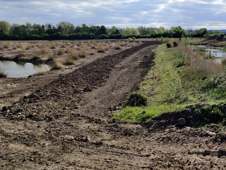 A muddy path at North Cave Wetlands - Photo by Paul Wray