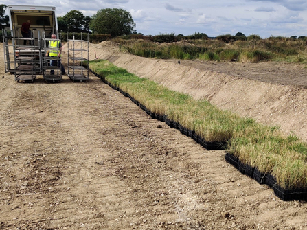 Our reserve manager unloading reed plugs from the back of a lorry. Photo by Paul Wray