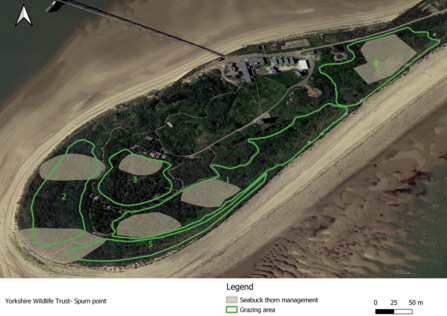 Aerial view of Spurn showing areas where sea buckthorn will be removed